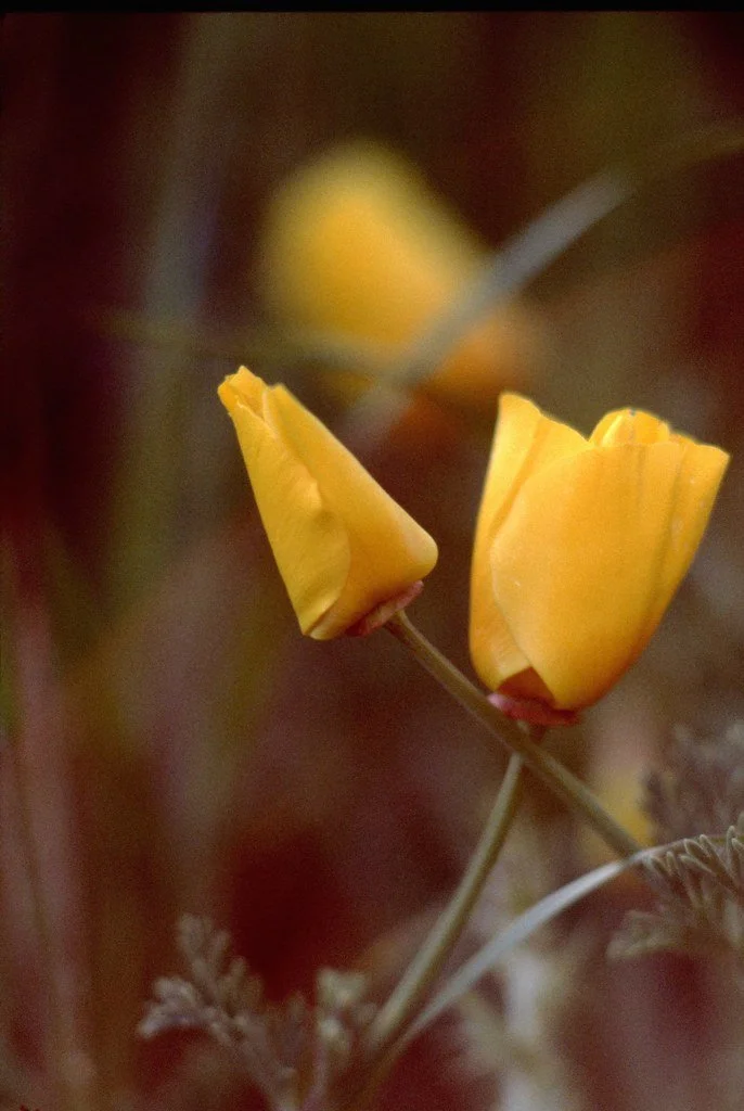 197871--118_21329439670_l.jpg