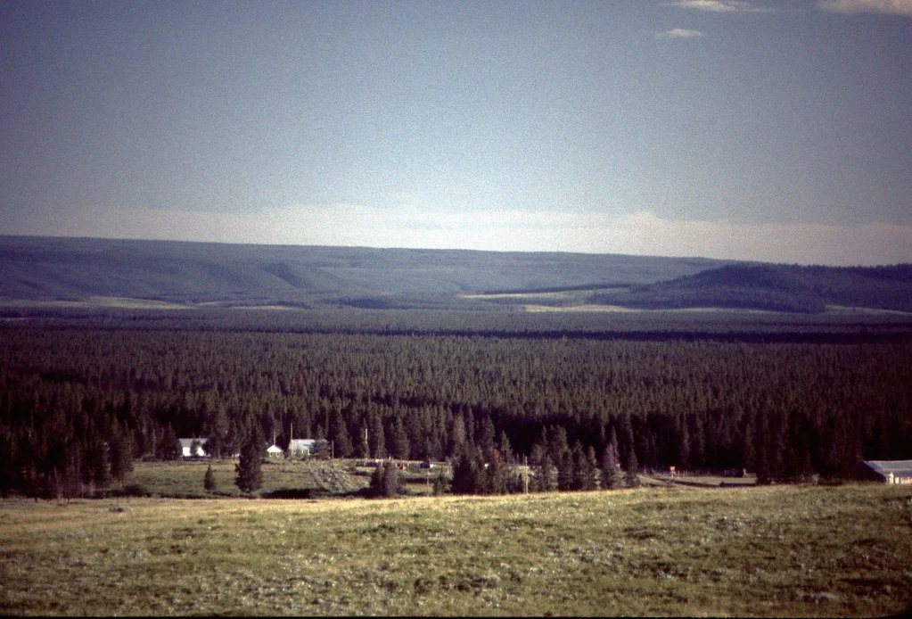 19761-040_21286951499_l.jpg