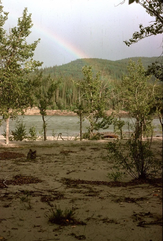 1974lr1-075_21290512759_l.jpg