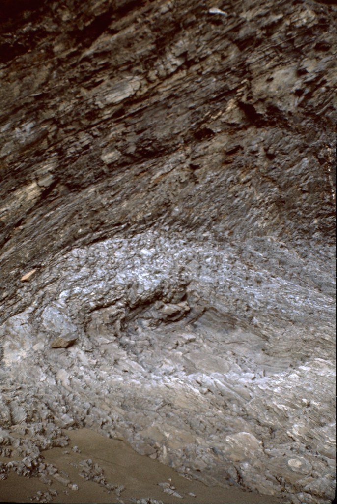 1974lr1-060_21289588598_l.jpg