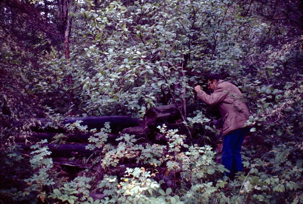1974lr2-025_21289071970_l.jpg