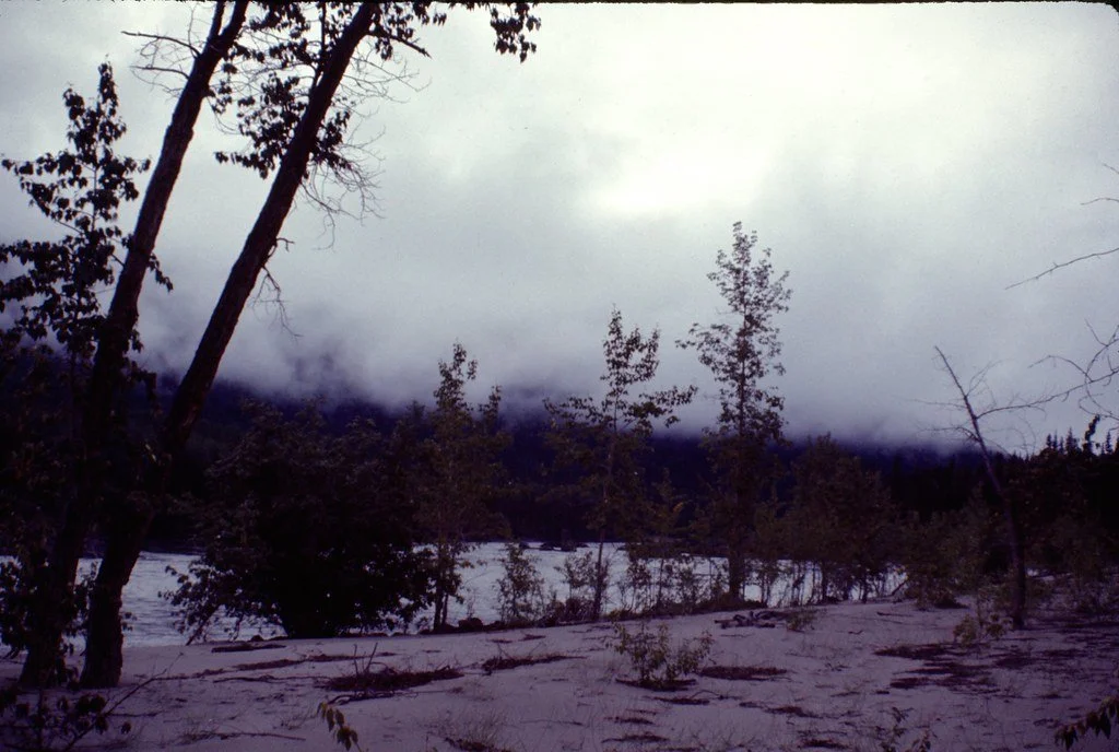 1974lr2-007_21289284458_l.jpg