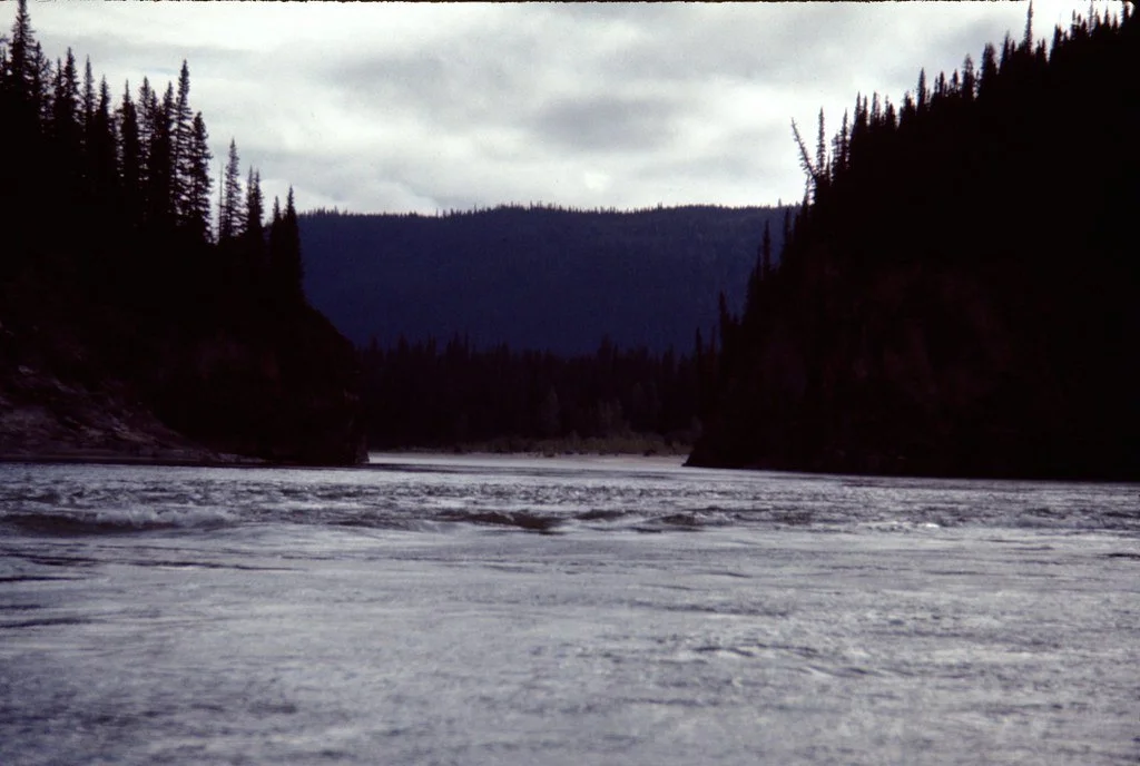 1974lr2-015_20854404734_l.jpg