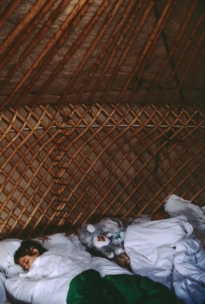 1986--686-786-25_20827640028_l.jpg
