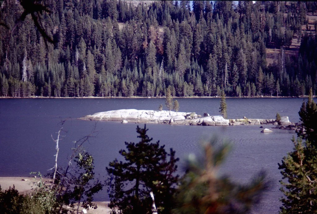19711--90_21277380126_l.jpg