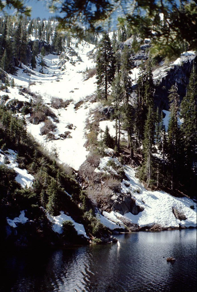 1970-camping-035_20678225523_l.jpg