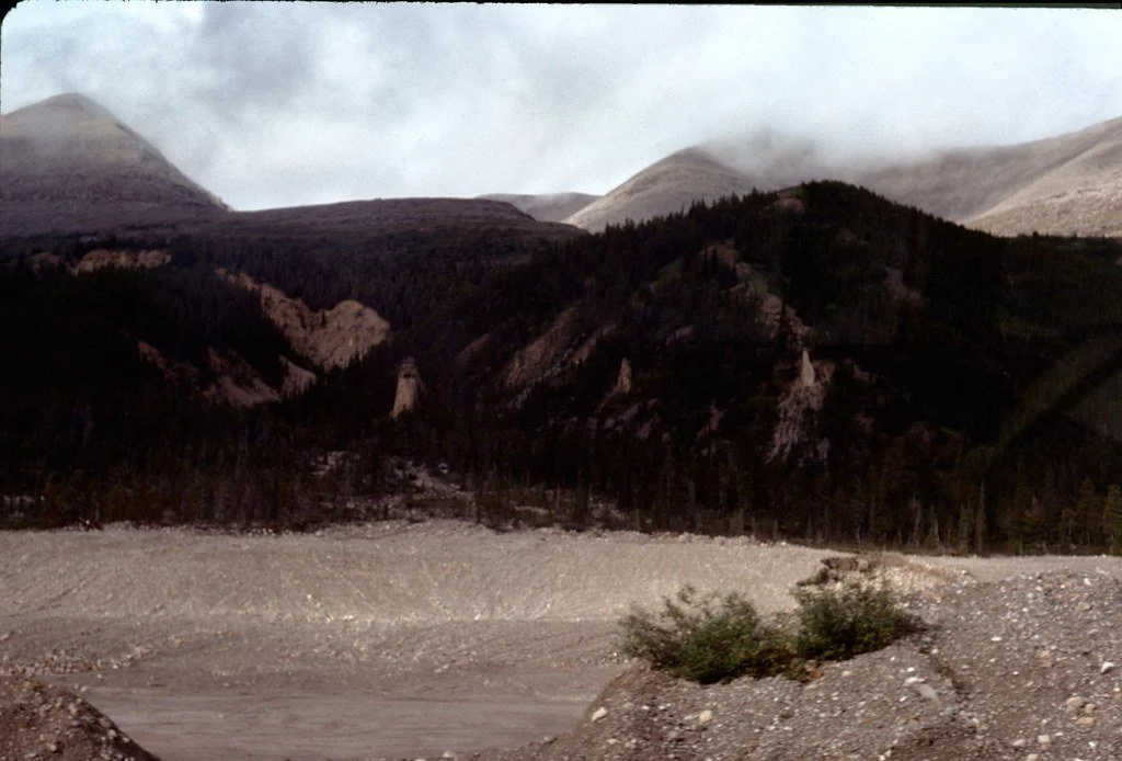 1974lr1-008_21289537568_l.jpg