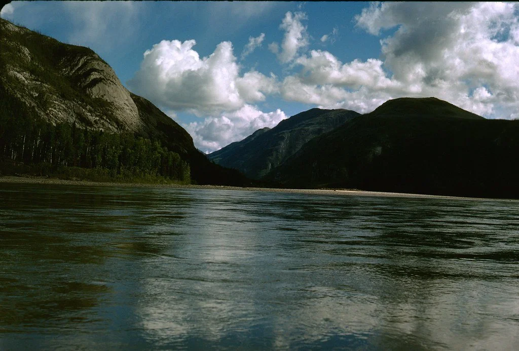 1974lr2-043_21477134755_l.jpg