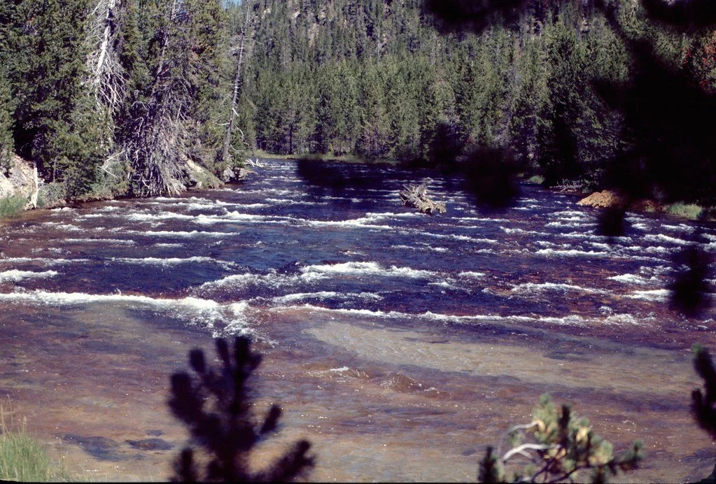 19761-039_20851147644_l.jpg