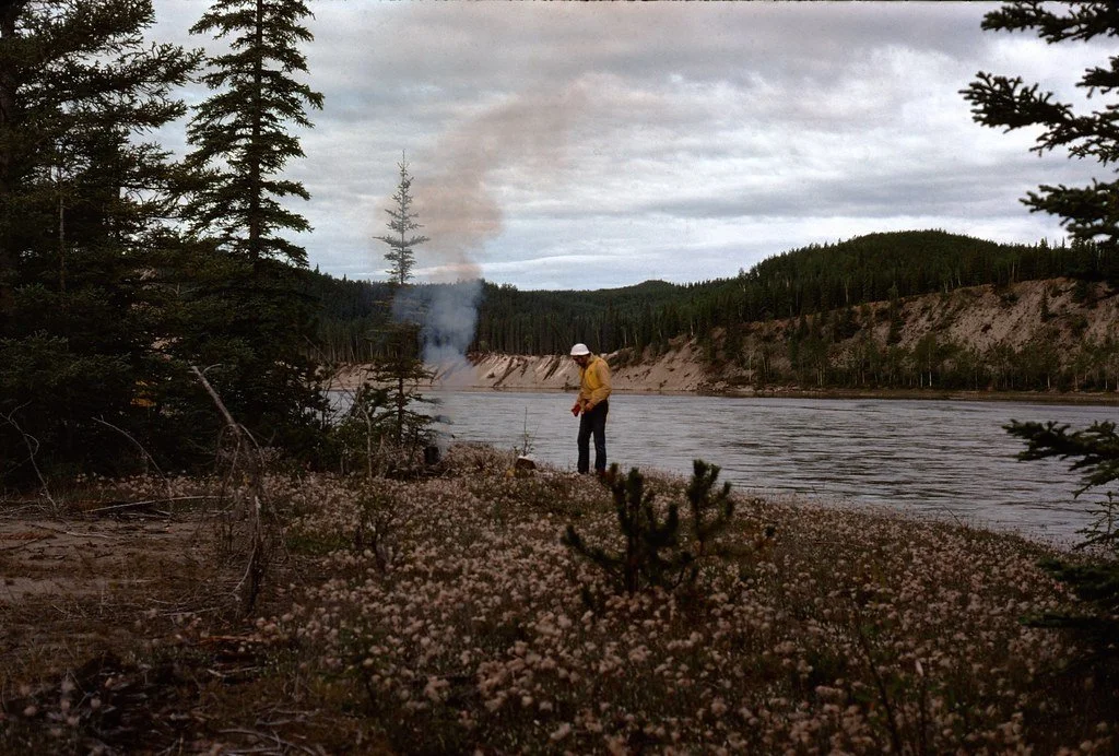 1974lr1-044_21289345060_l.jpg