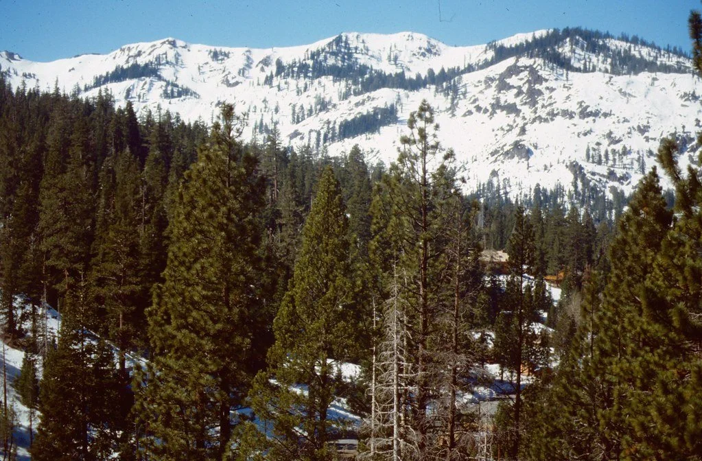 1988--288588--69_21004627486_l.jpg