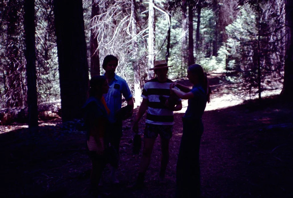 19712-076_21479591085_l.jpg