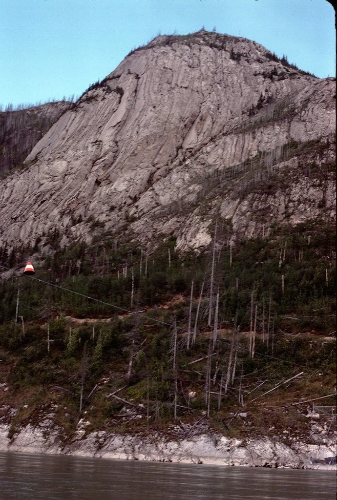 1974lr2-041_21485738761_l.jpg