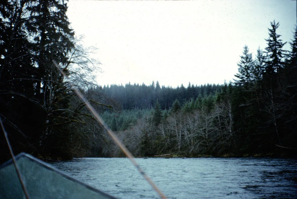 19732-012_21290458990_l.jpg