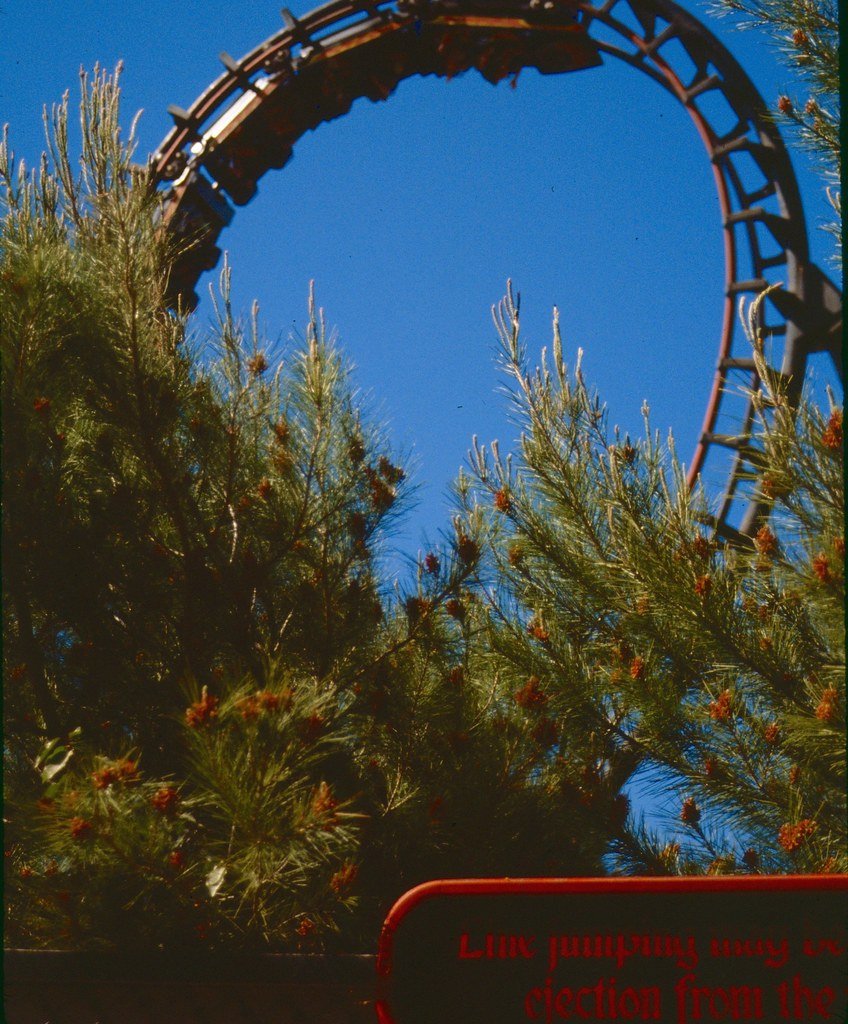 1989--389689--40_21024454862_l.jpg