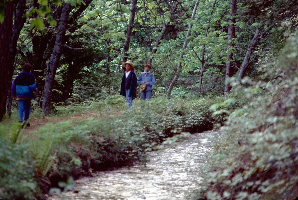 1992327--65_20573106253_l.jpg