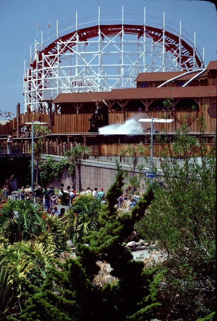 197756-016_21285277948_l.jpg