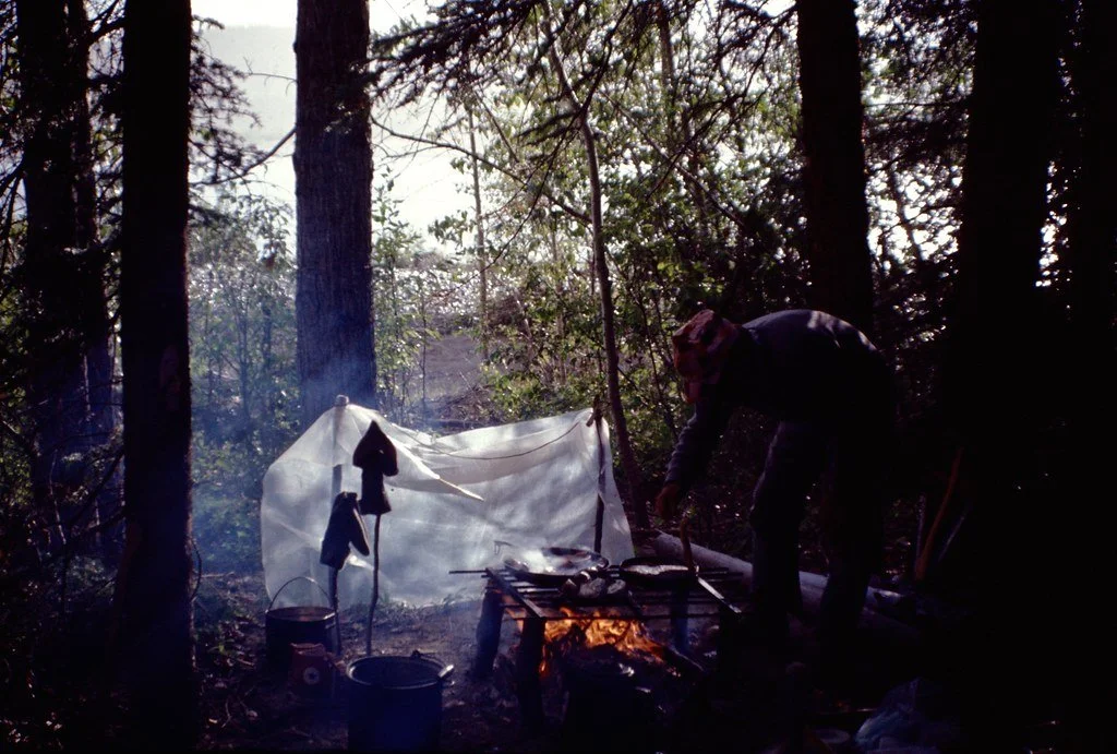 1974lr1-031_20856283093_l.jpg