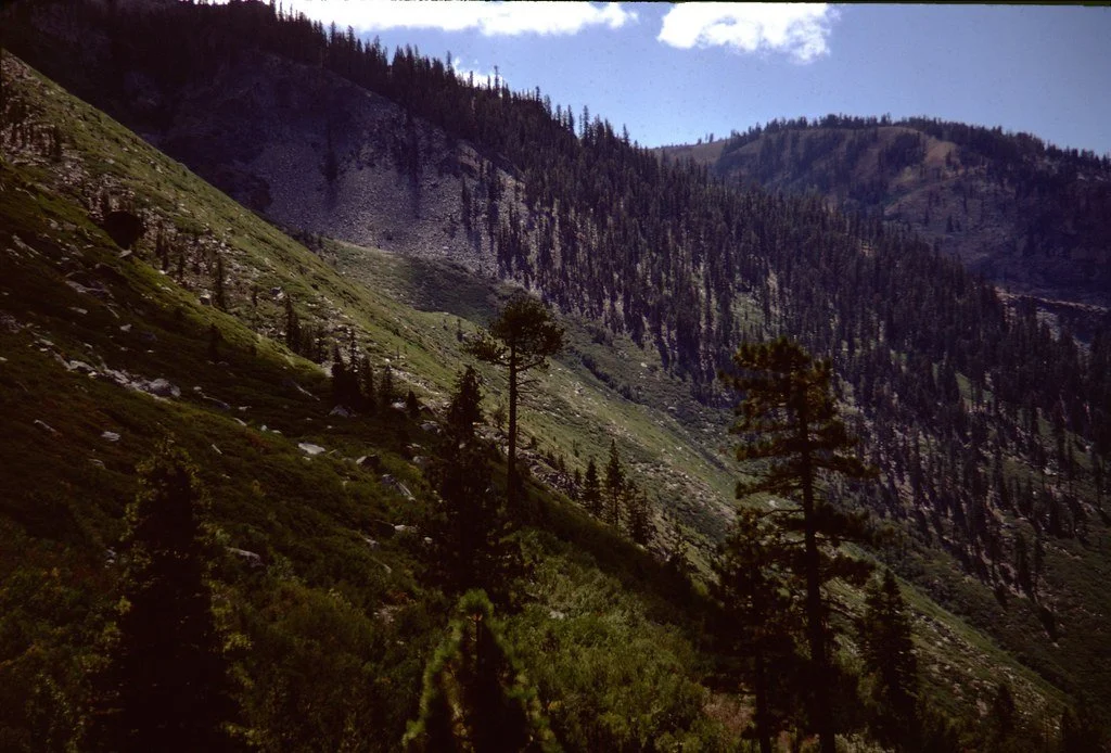 19711--80_21303629285_l.jpg
