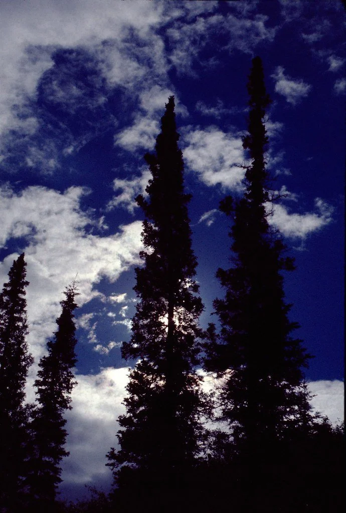 1974lr3-008_21450582416_l.jpg