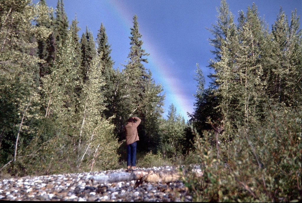 1974lr1-027_21289556338_l.jpg
