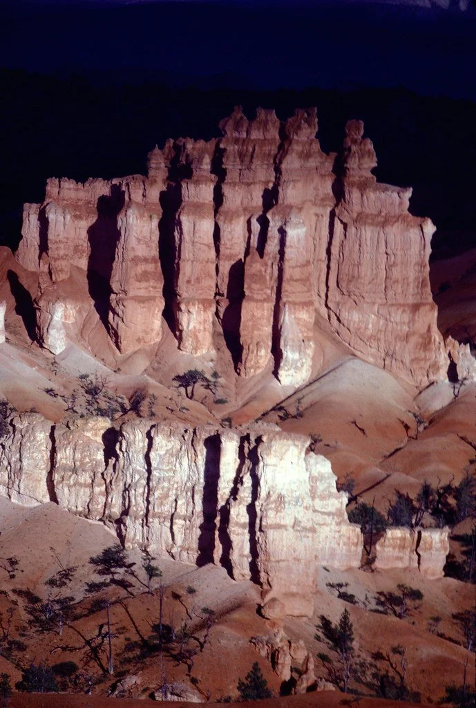 1981--881182--80_20858415598_l.jpg