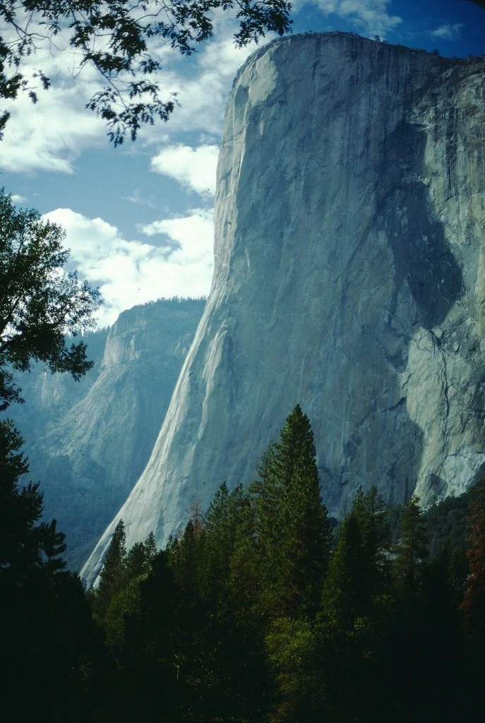 1980--680980--20_21047506525_l.jpg