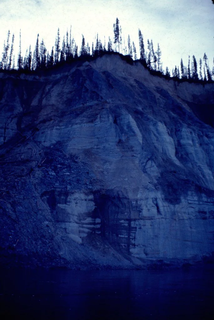 1974lr1-038_21290479009_l.jpg