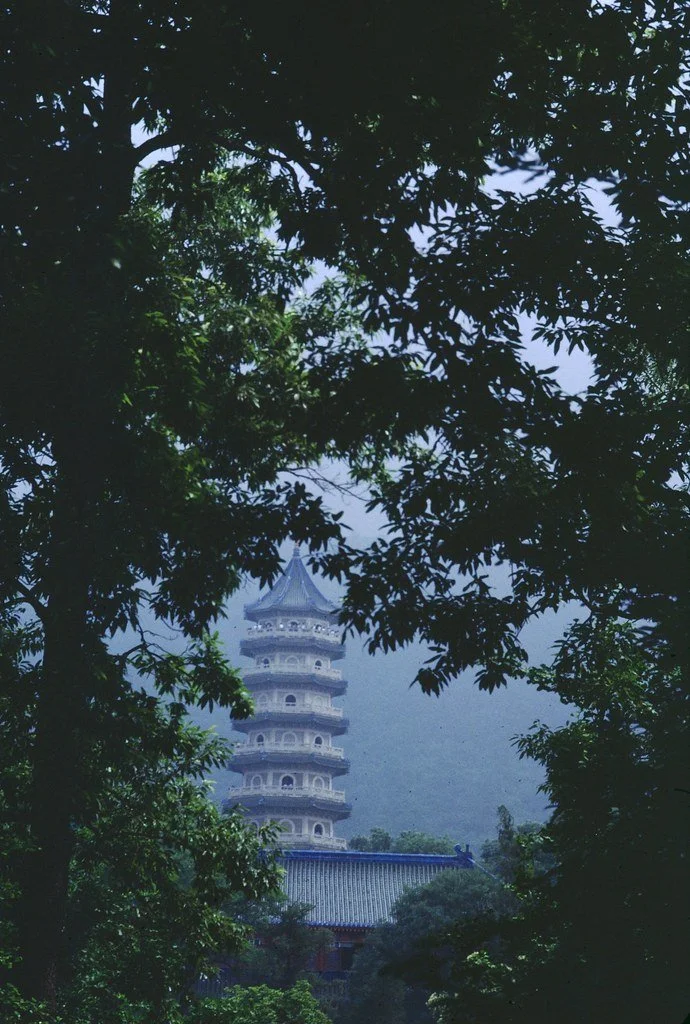 1986--686-786-65_20394534653_l.jpg