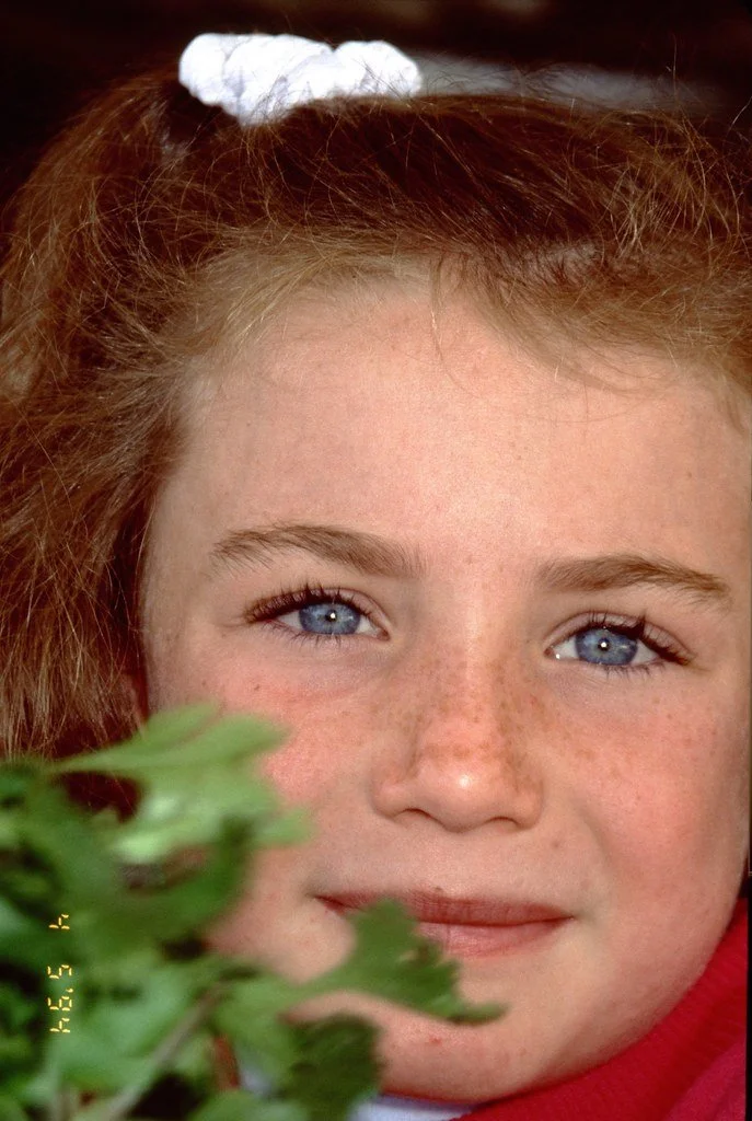 199426-064_21184497926_l.jpg