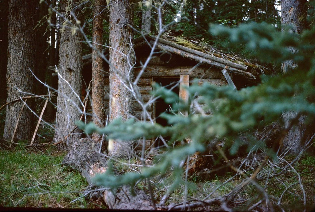 1974lr1-069_20854704294_l.jpg