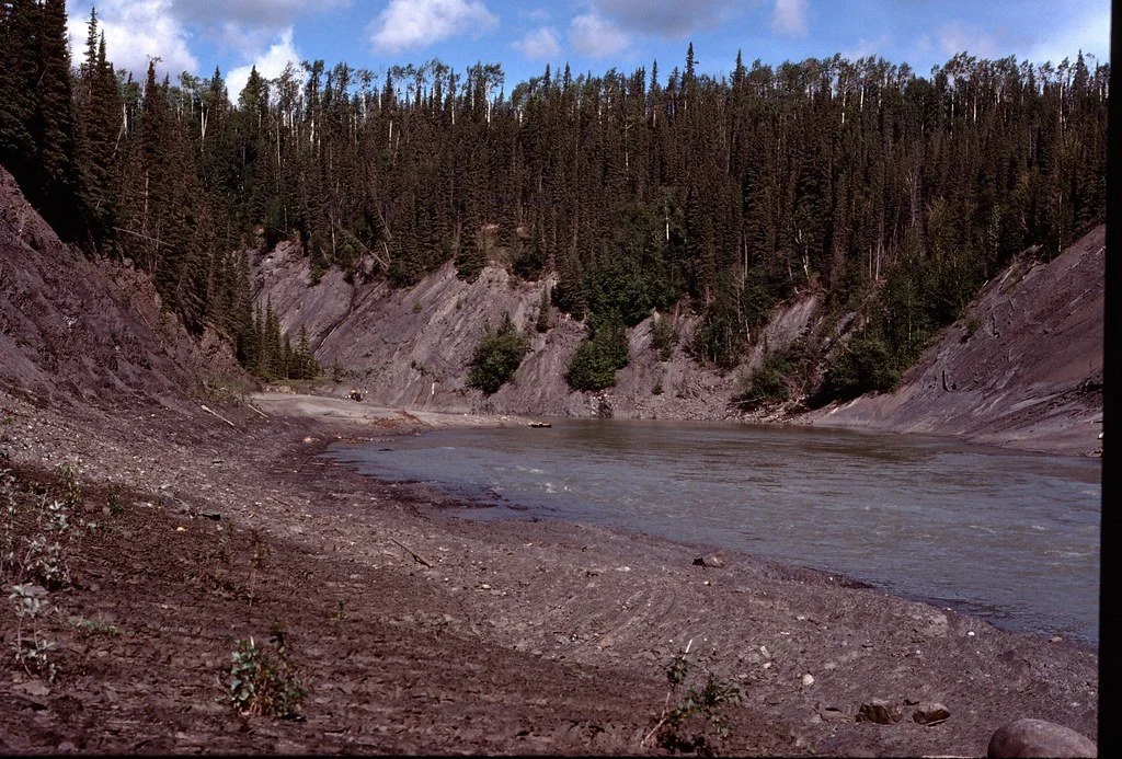 1974lr3-018_21485417861_l.jpg