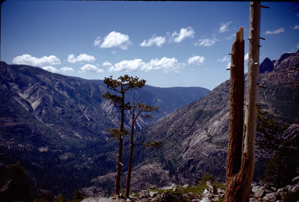 19711--82_20680941834_l.jpg
