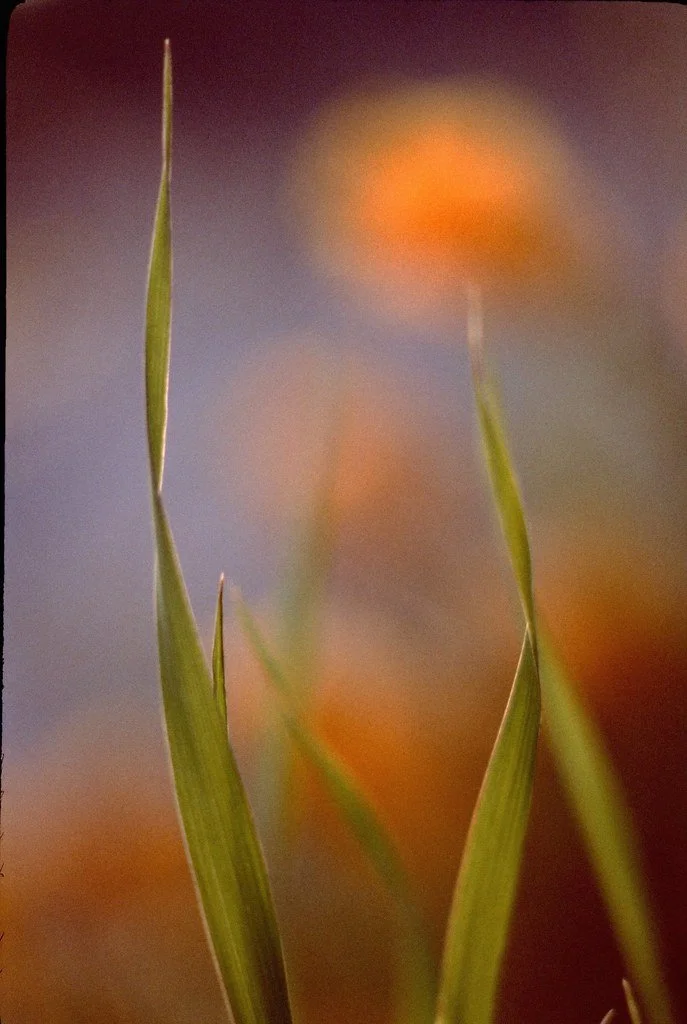 197871--120_21330586269_l.jpg