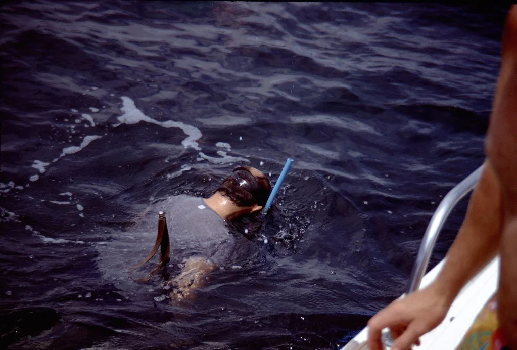 19711--58_20680909054_l.jpg