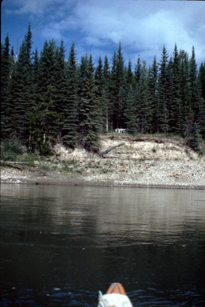 1974lr1-048_21477389555_l.jpg