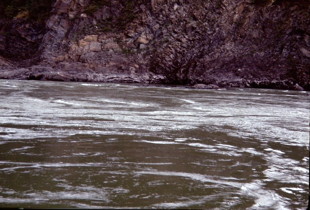 1974lr1-052_21289582078_l.jpg
