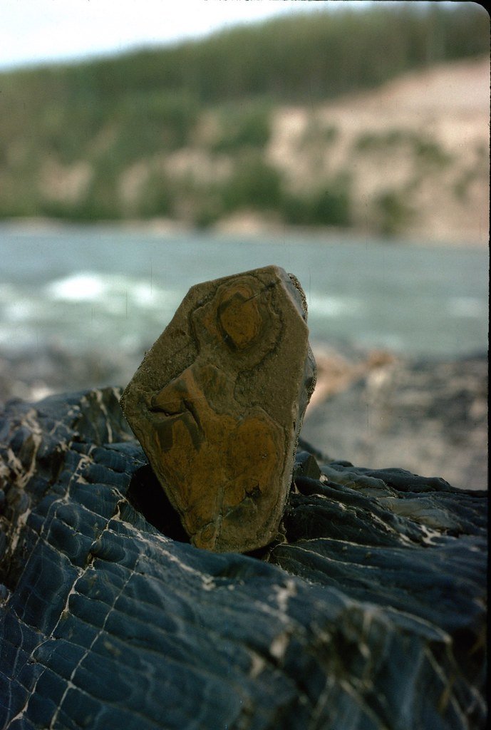 1974lr1-071_21290509099_l.jpg