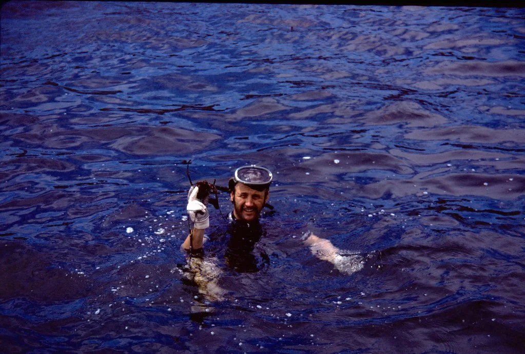 19711--34_21277304936_l.jpg