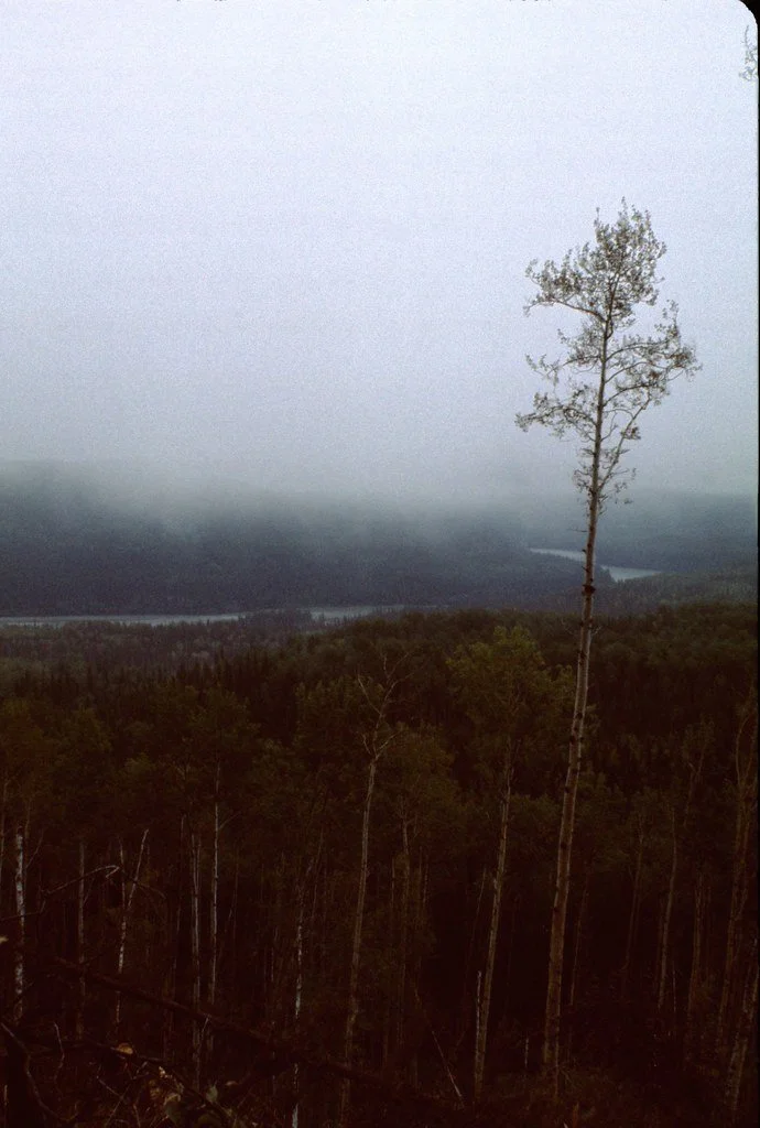 1974lr2-057_20854447714_l.jpg