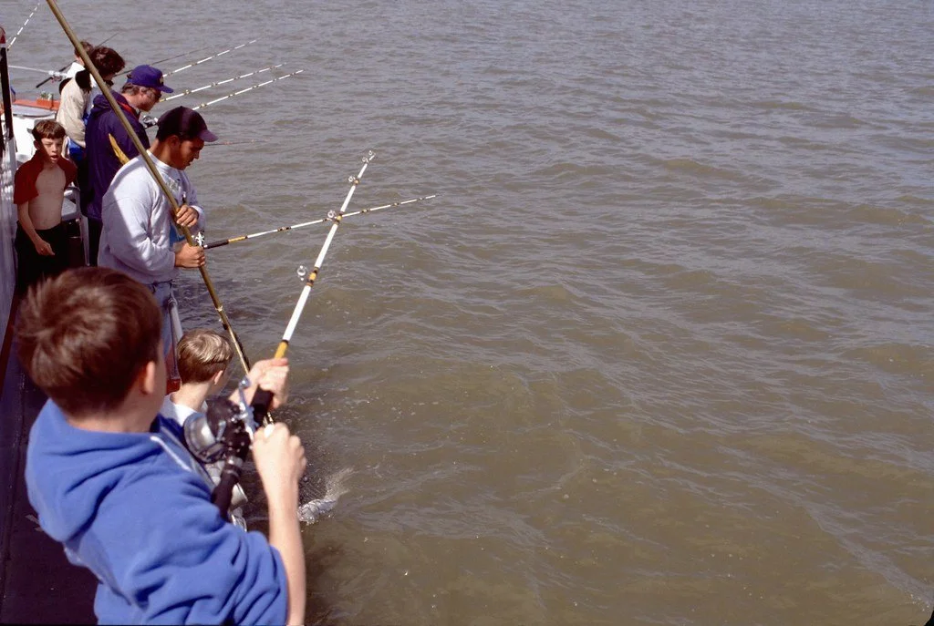 1992327--50_20573079703_l.jpg