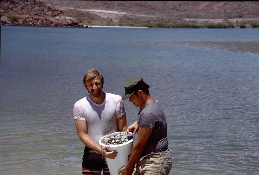 19711--54_21292968602_l.jpg