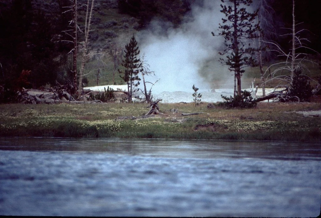 19761-012_21286933199_l.jpg