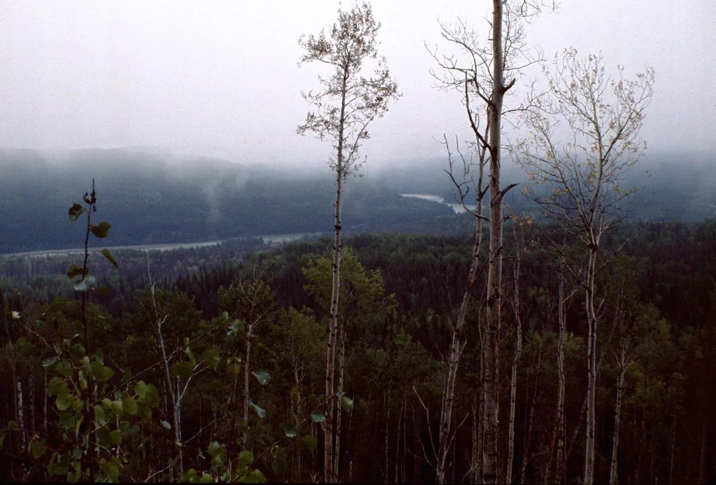 1974lr2-058_20854448854_l.jpg