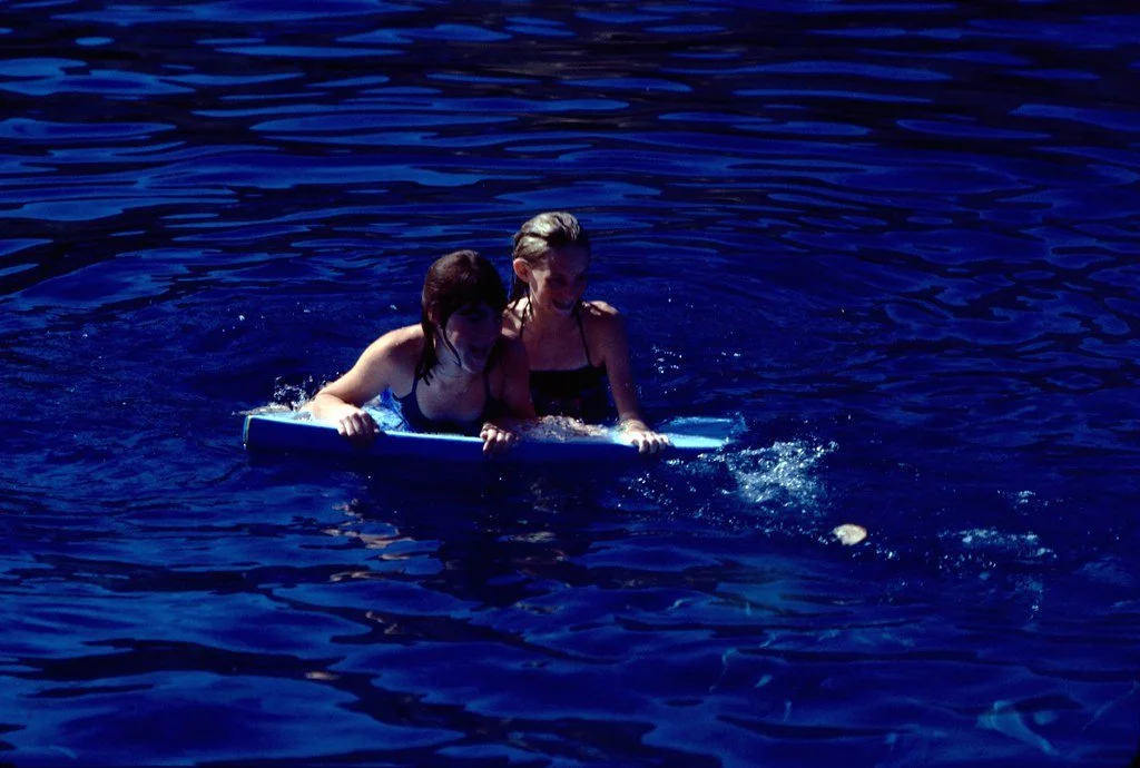 1981--881182--96_20423702874_l.jpg