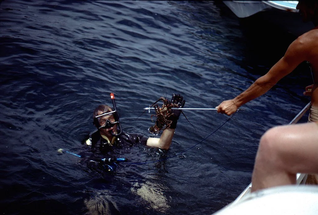 19711--31_21277301246_l.jpg