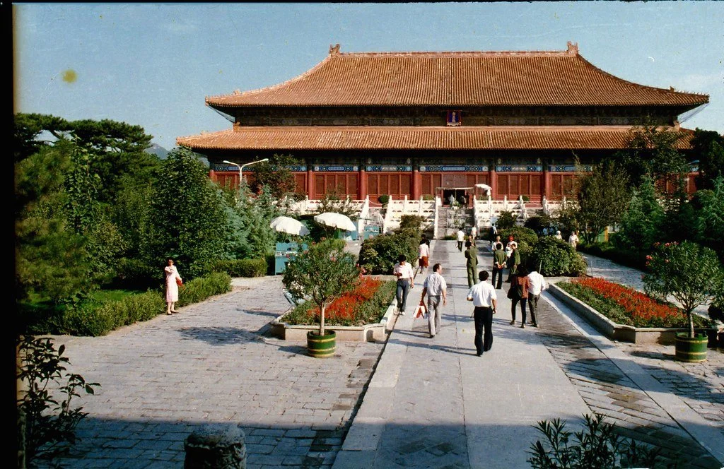 199945--021_21248215973_l.jpg