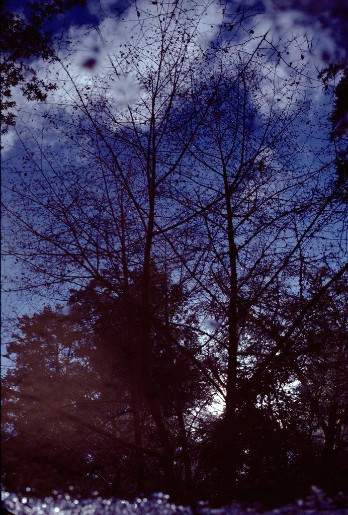 197871--042_21330482659_l.jpg