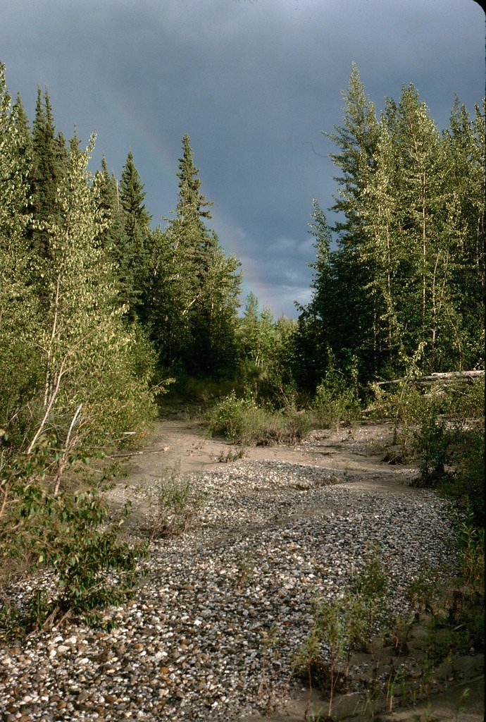 1974lr1-028_21290468499_l.jpg