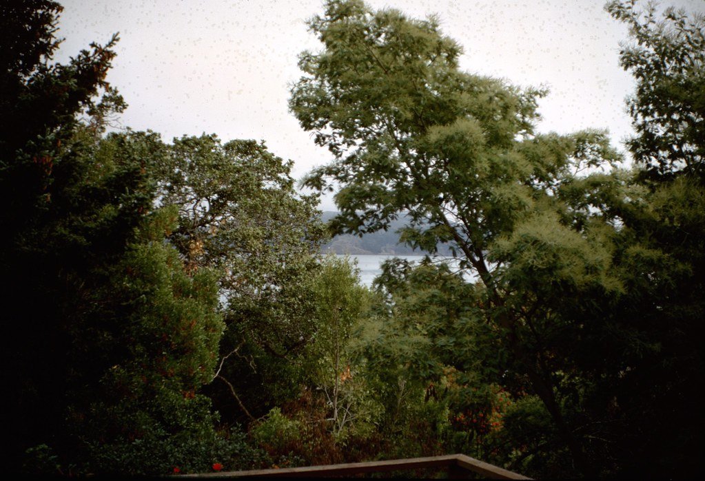 1970-camping-056_21299360705_l.jpg